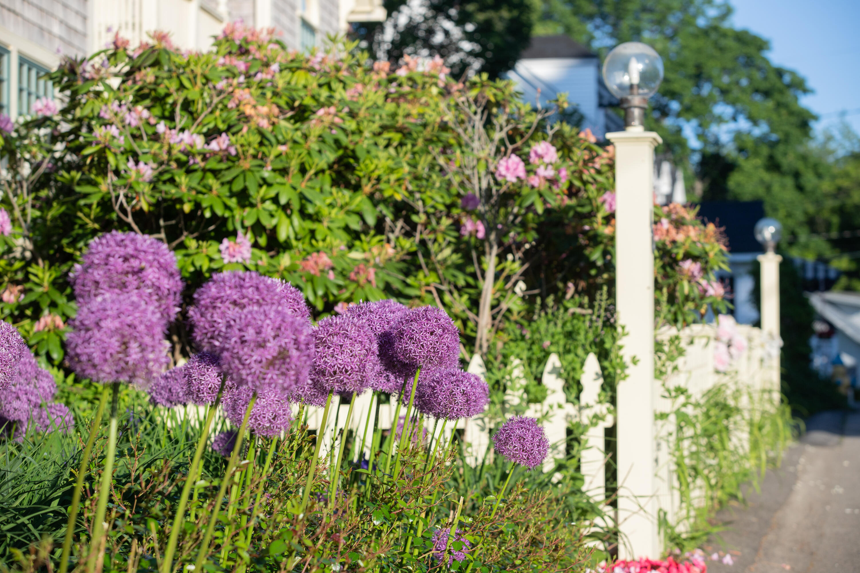 488 Main Street, Unit 7 Ogunquit, ME 03907 - Photo 37 of 57 488 Main Street, Unit 7, Ogunquit, Maine