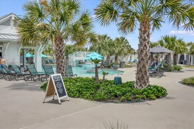 a view of a park with palm trees