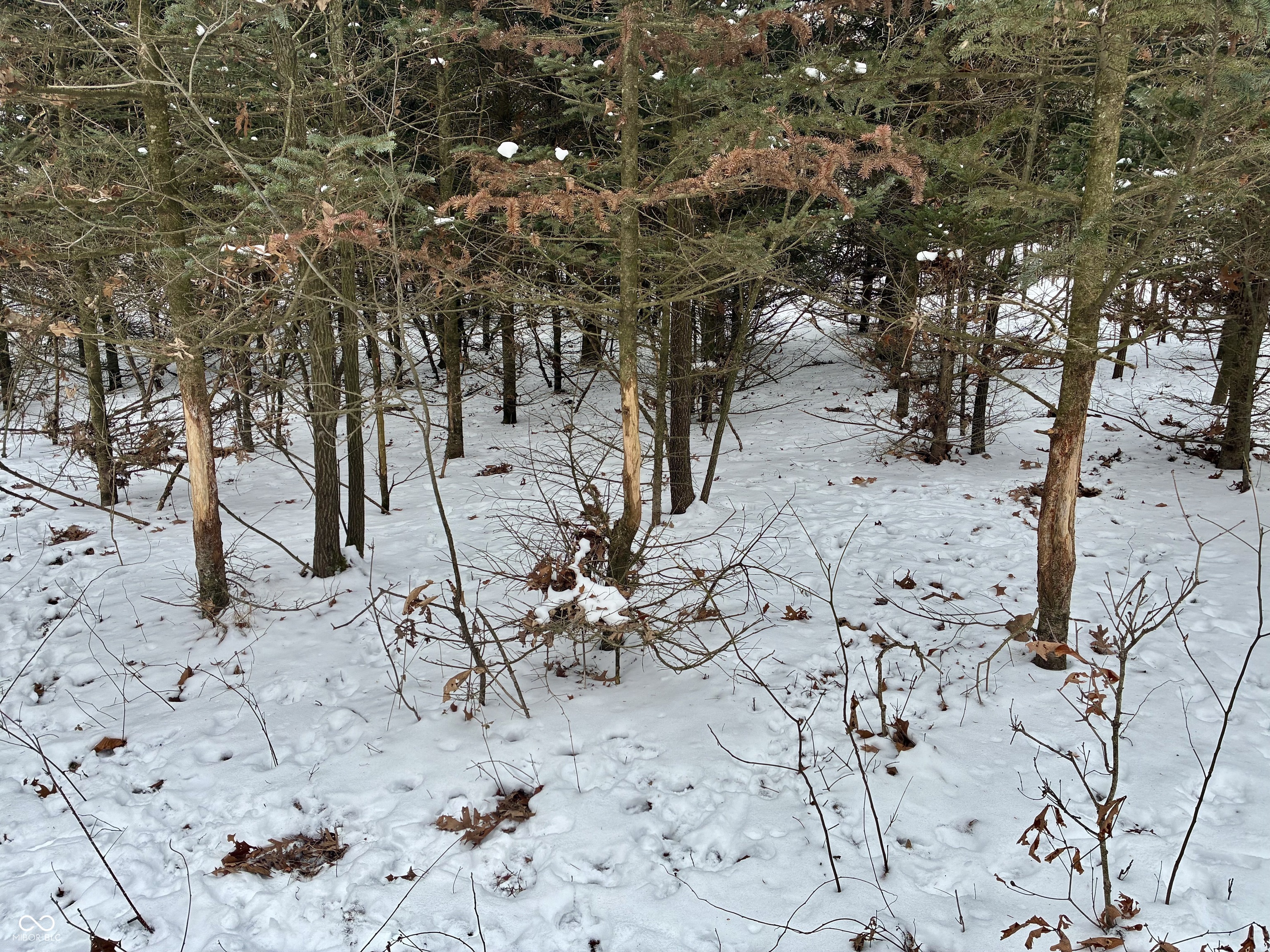 900 South Rensselaer, IN 47978 - Photo 17 of 33