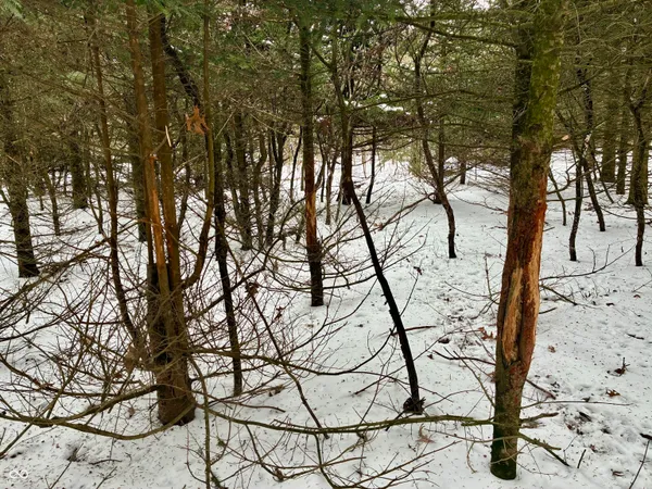 $541,500 | 900 South, Rensselaer, IN 47978