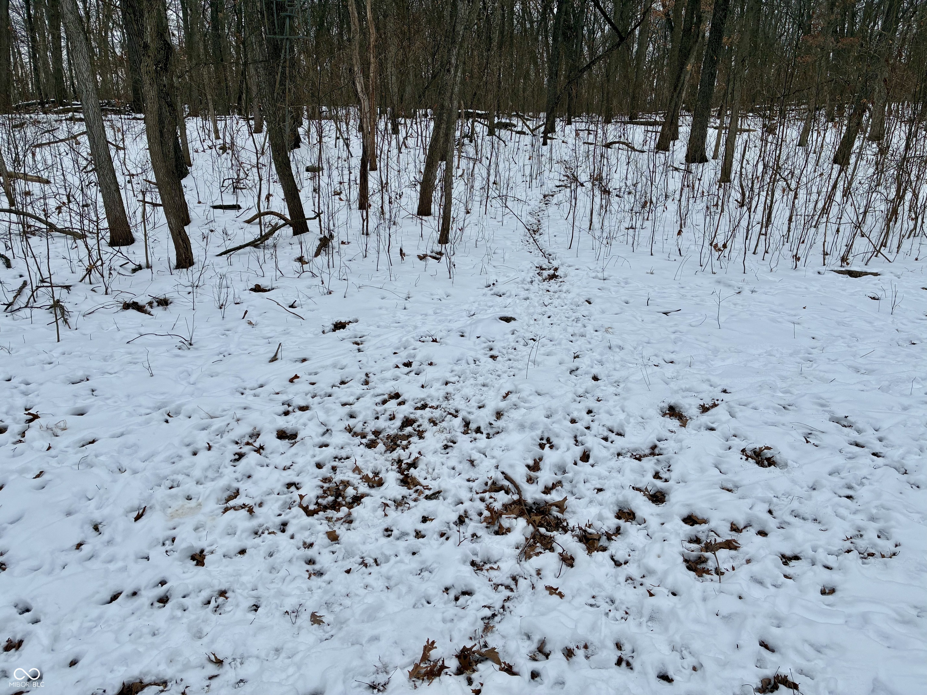 900 South Rensselaer, IN 47978 - Photo 24 of 33