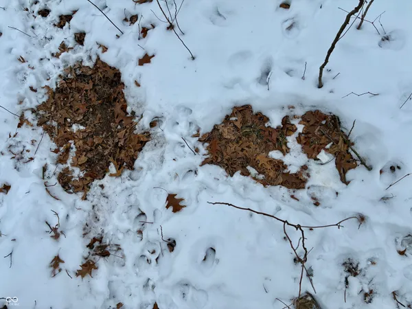 $541,500 | 900 South, Rensselaer, IN 47978