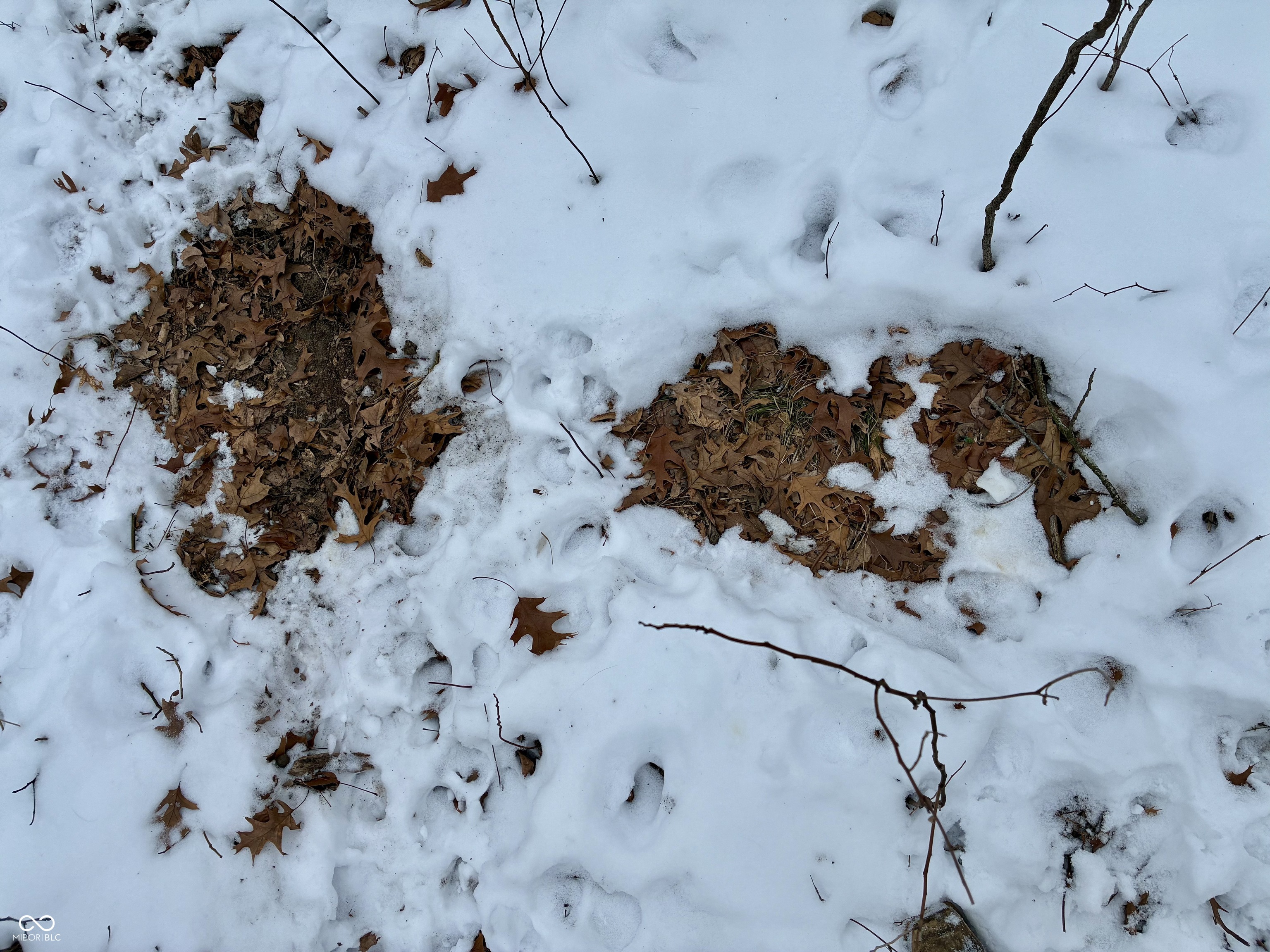 900 South Rensselaer, IN 47978 - Photo 27 of 33