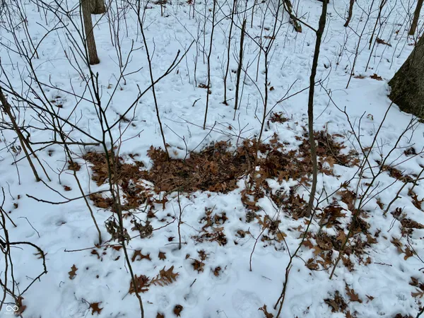 $541,500 | 900 South, Rensselaer, IN 47978