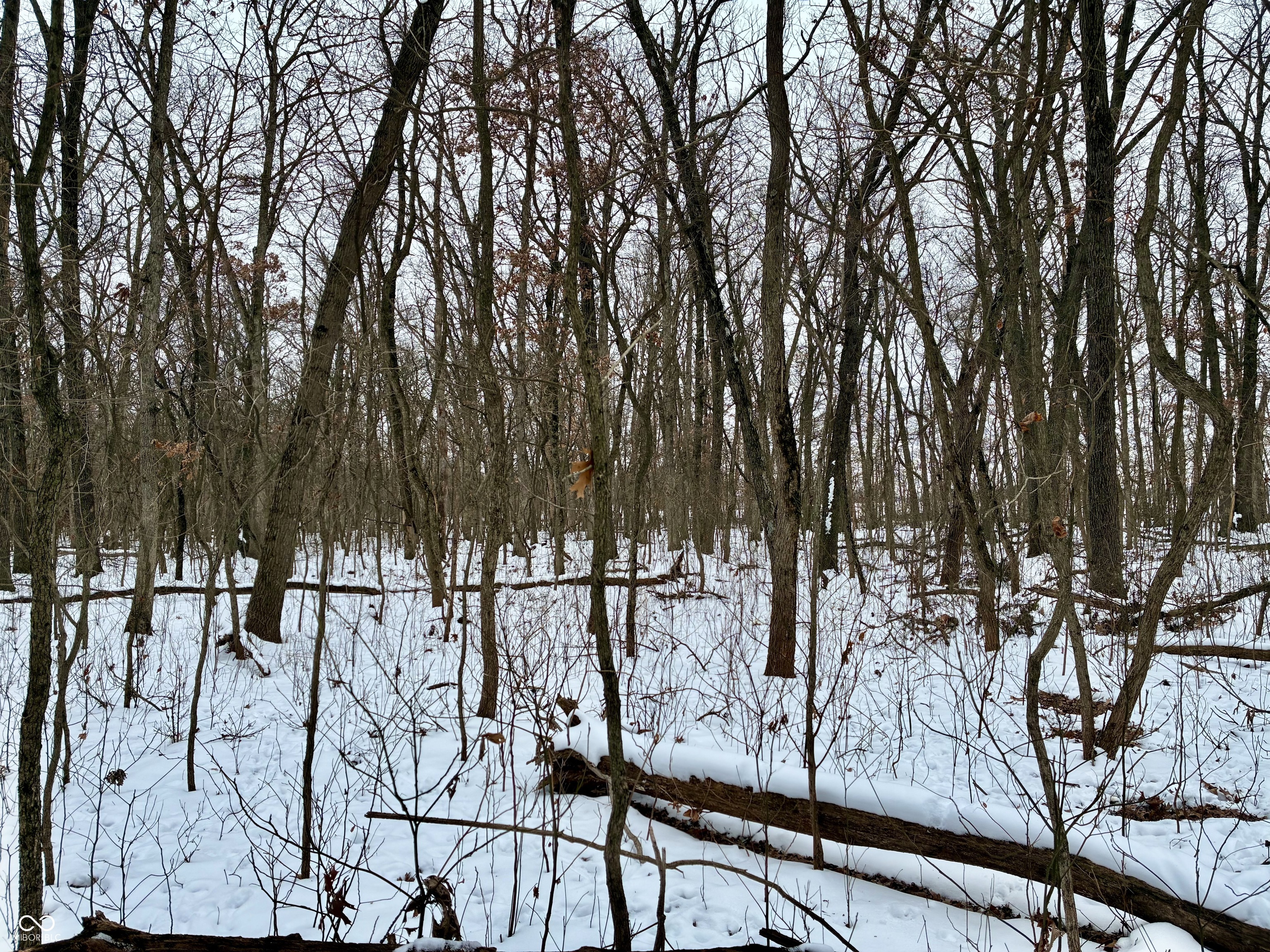 900 South Rensselaer, IN 47978 - Photo 29 of 33