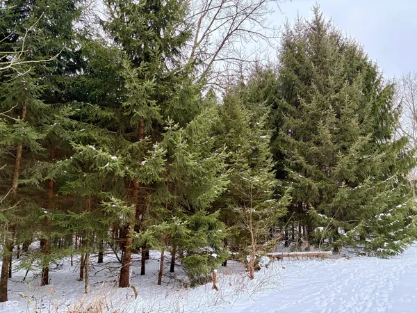 $541,500 | 900 South, Rensselaer, IN 47978