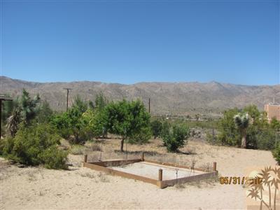 8526 Old Vine Road Joshua Tree, CA 92252 - Photo 3 of 19 a view of a dry yard with a large tree
