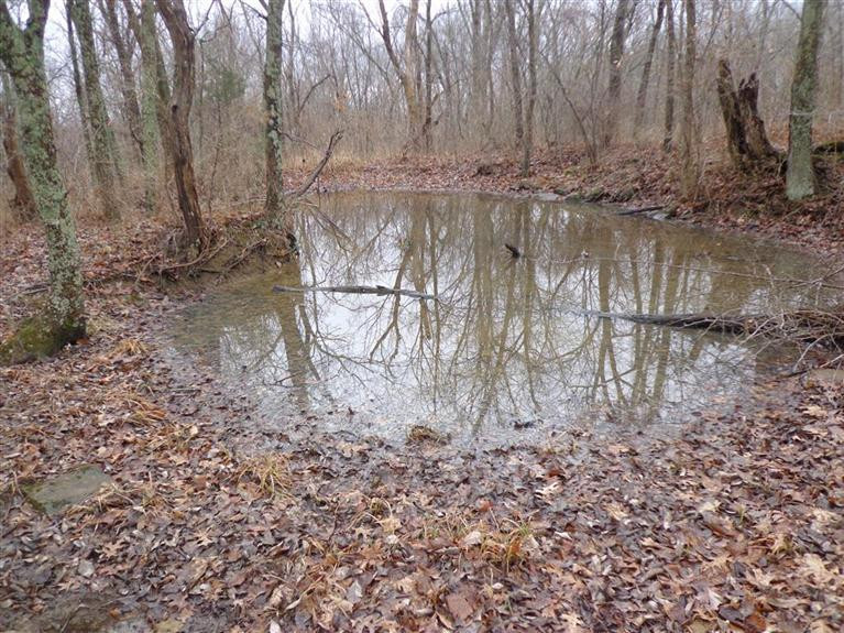 3337 Chaney Road Brooksville, KY 41004 - Photo 27 of 30 Gallery Image 27