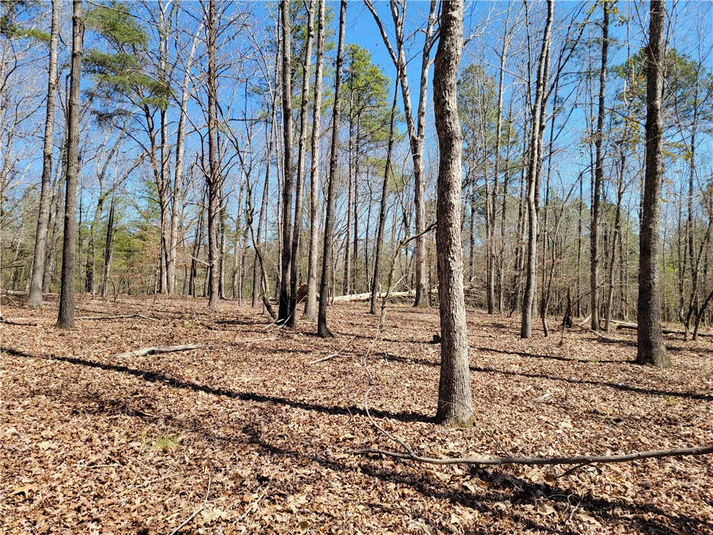 234 State Rd S-4-488 Anderson, SC 29621 - Photo 8 of 10