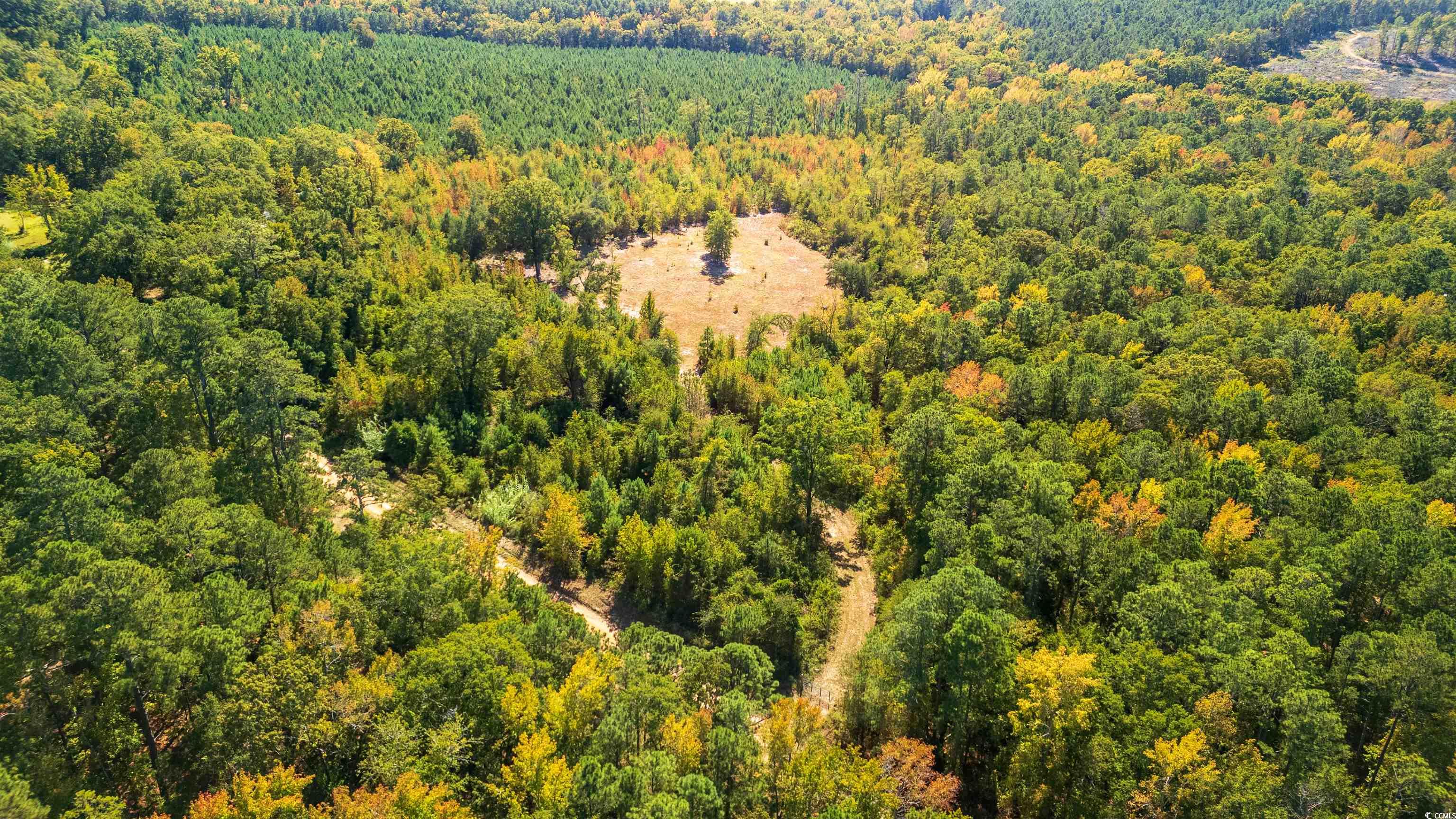 5760 Hugh Ryan Road Dalzell, SC 29040 - Photo 13 of 14 Bird's eye view of a forest