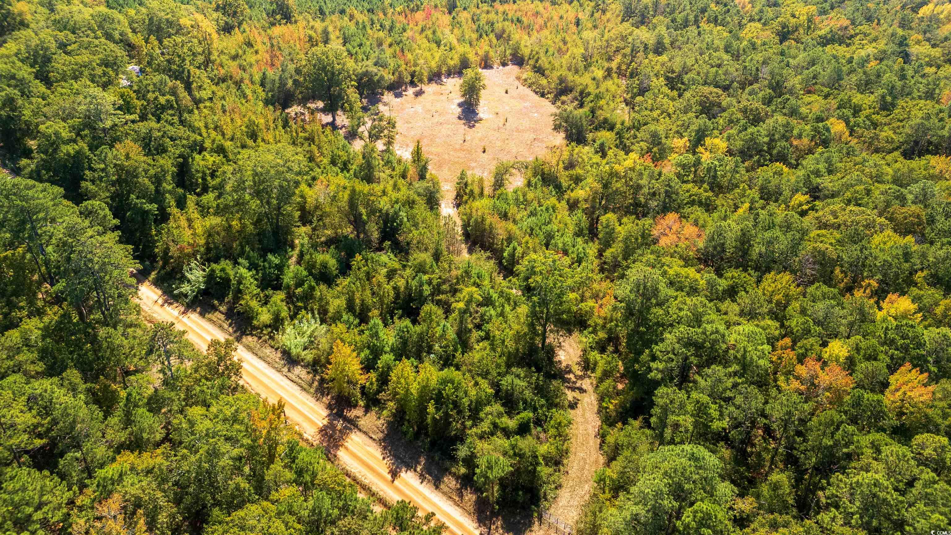 5760 Hugh Ryan Road Dalzell, SC 29040 - Photo 14 of 14 Drone / aerial view of a forest