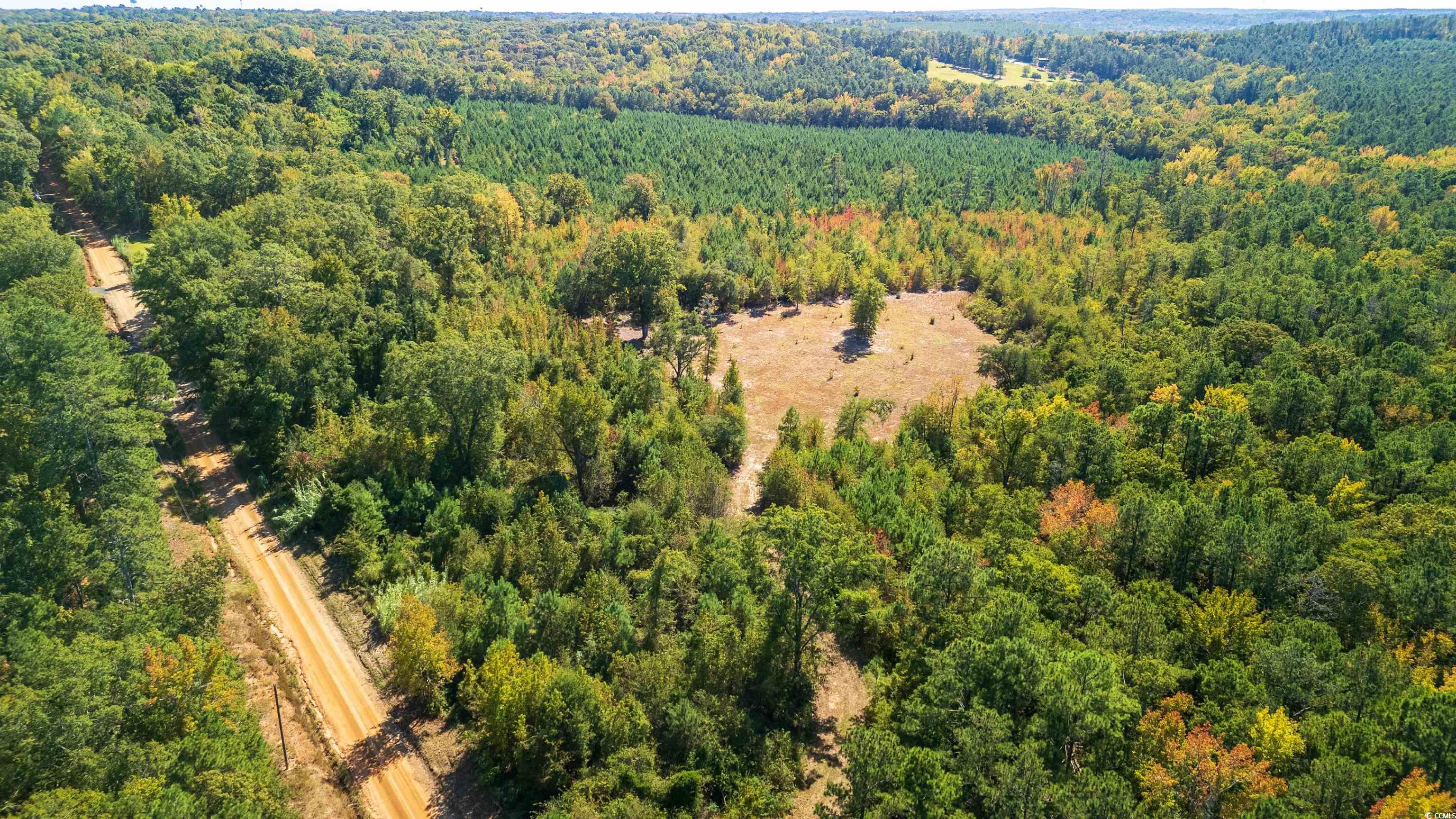 5760 Hugh Ryan Road Dalzell, SC 29040 - Photo 5 of 14 Bird's eye view of a heavily wooded area