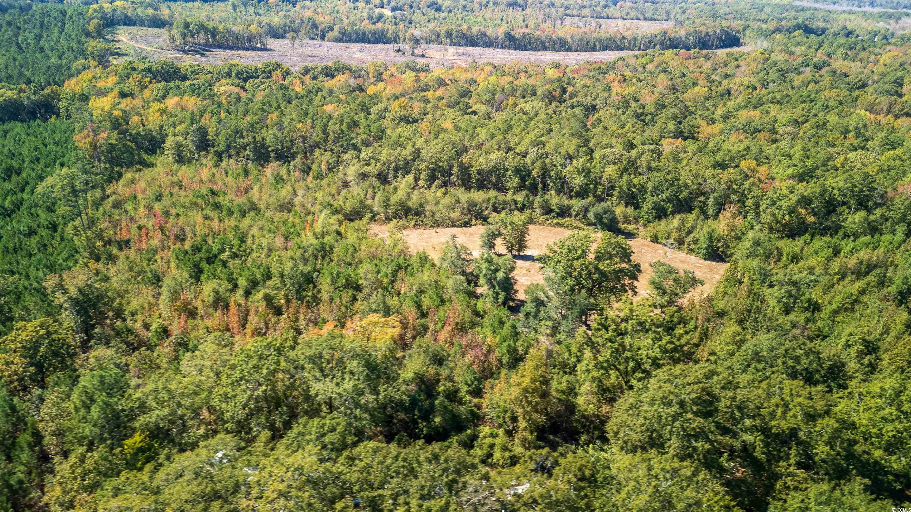 5760 Hugh Ryan Road Dalzell, SC 29040 - Photo 6 of 14 Drone / aerial view of a forest