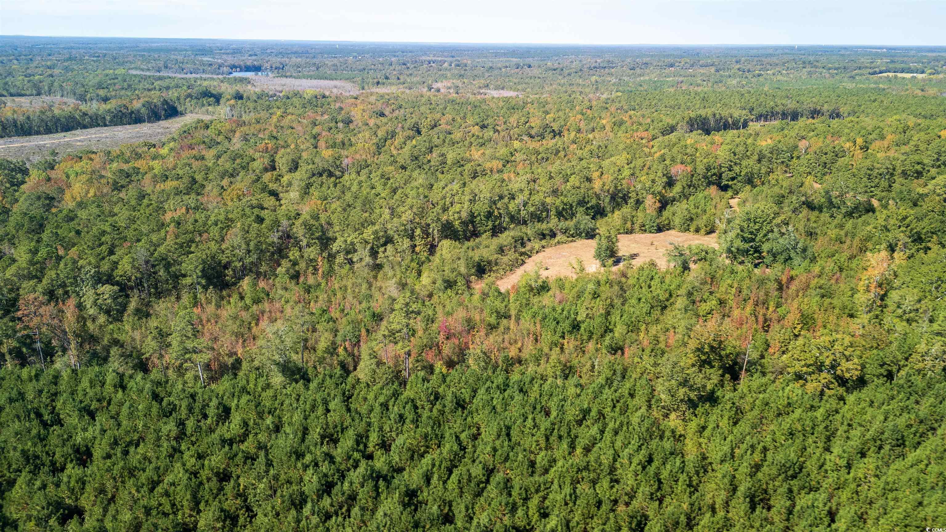 5760 Hugh Ryan Road Dalzell, SC 29040 - Photo 8 of 14 View of property location with a heavily wooded area