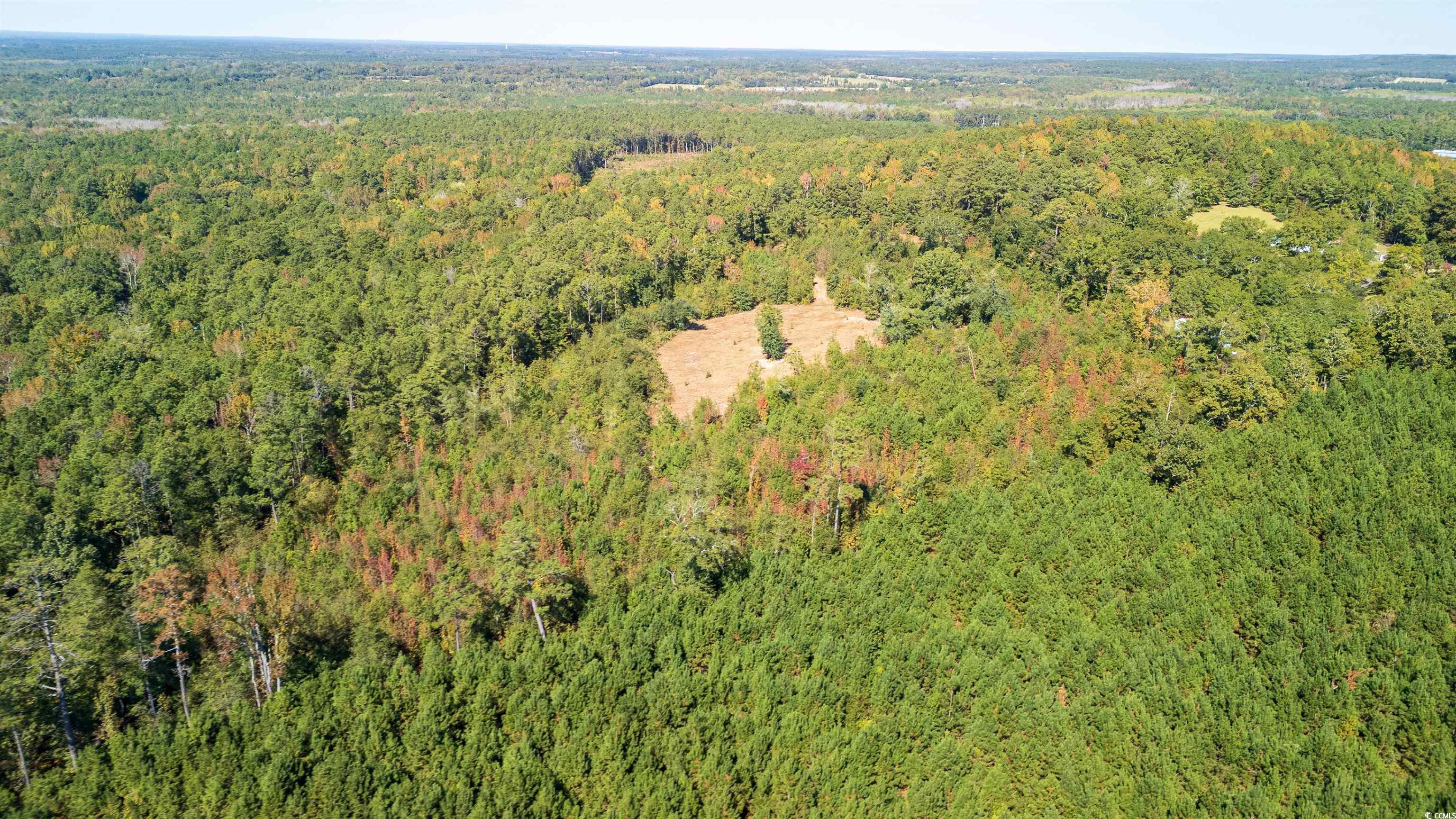 5760 Hugh Ryan Road Dalzell, SC 29040 - Photo 9 of 14 Drone / aerial view of a forest