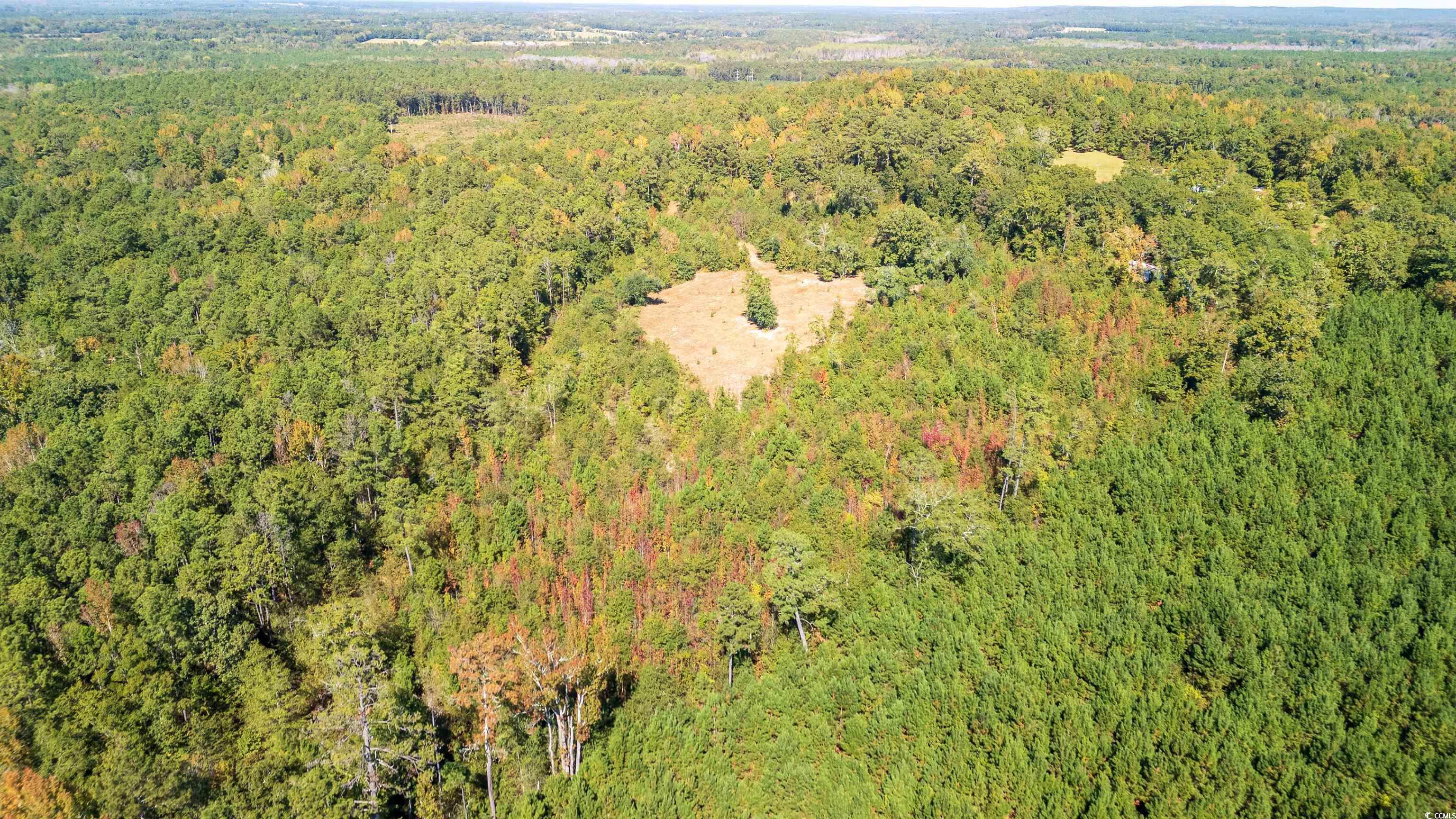 5760 Hugh Ryan Road Dalzell, SC 29040 - Photo 10 of 14 Bird's eye view of a forest