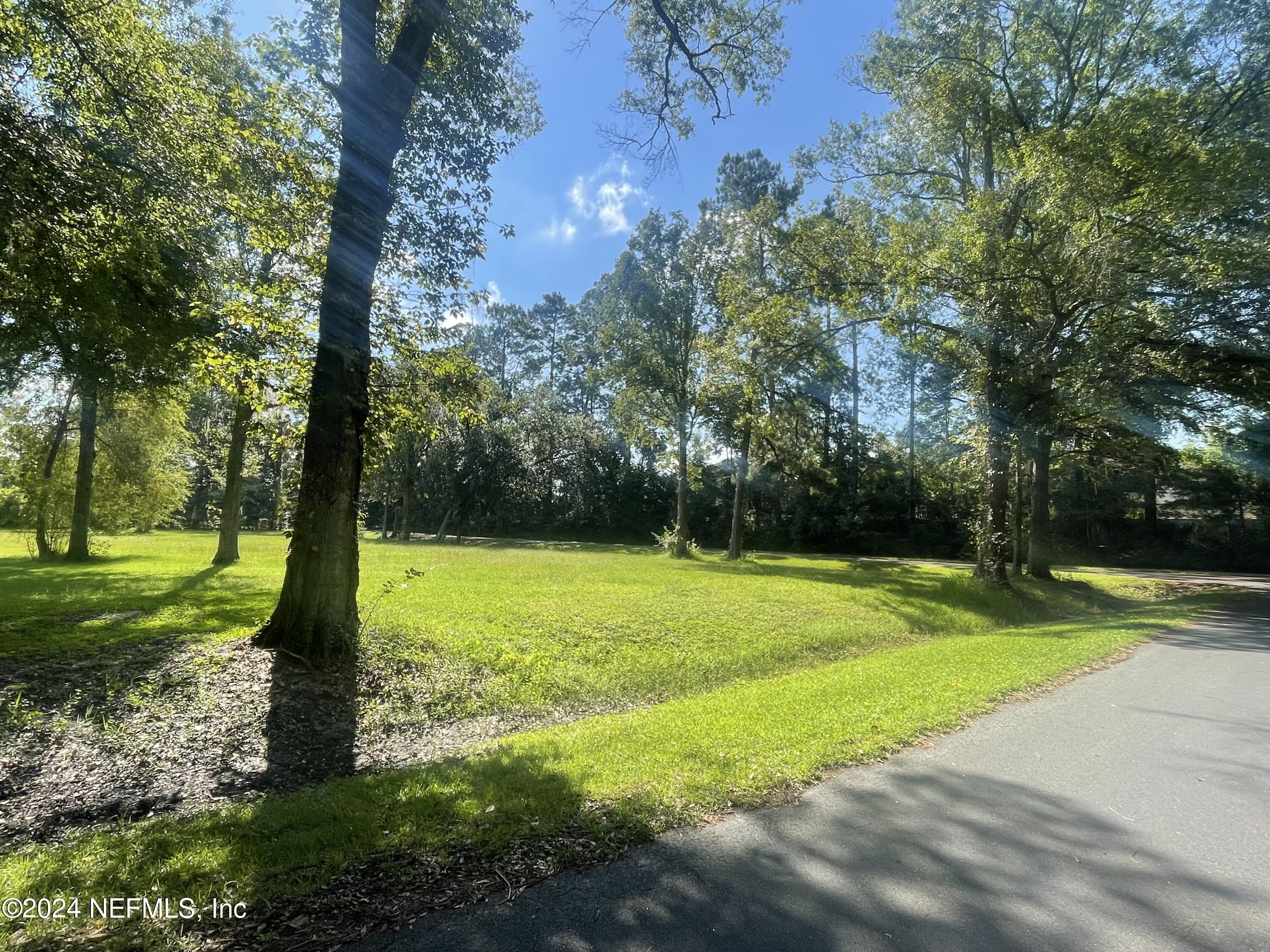 0 Maude Road Jacksonville, FL 32254 - Photo 3 of 8 a view of a park with large trees