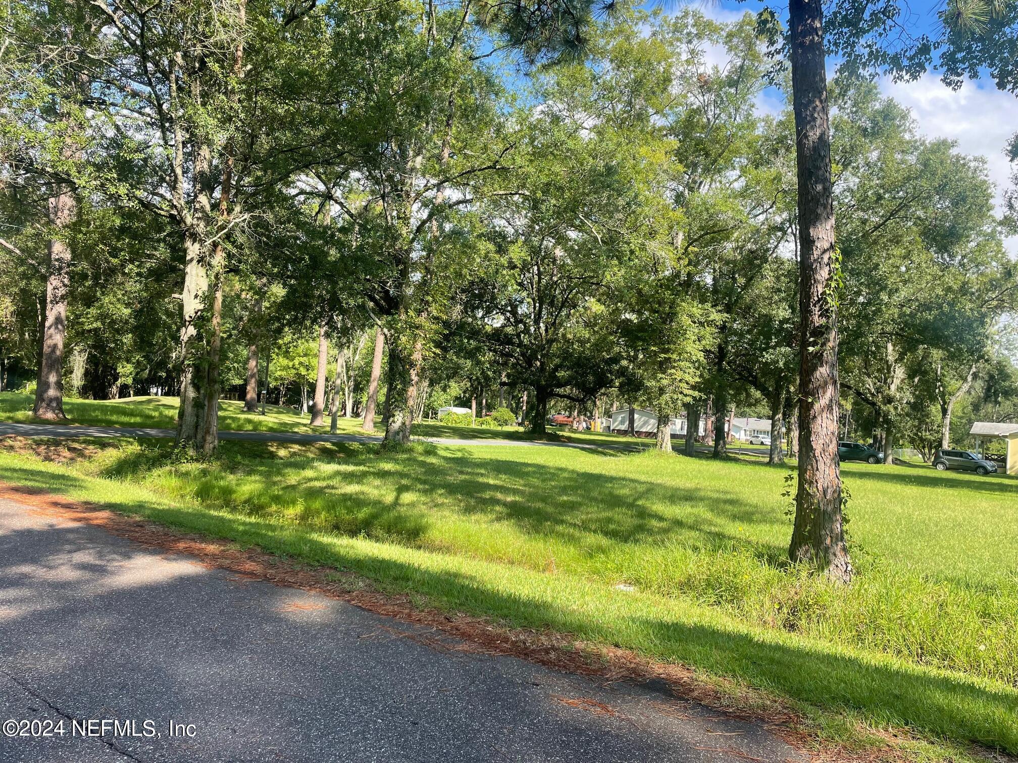 0 Maude Road Jacksonville, FL 32254 - Photo 7 of 8 a view of a trees in front of a big yard with large trees