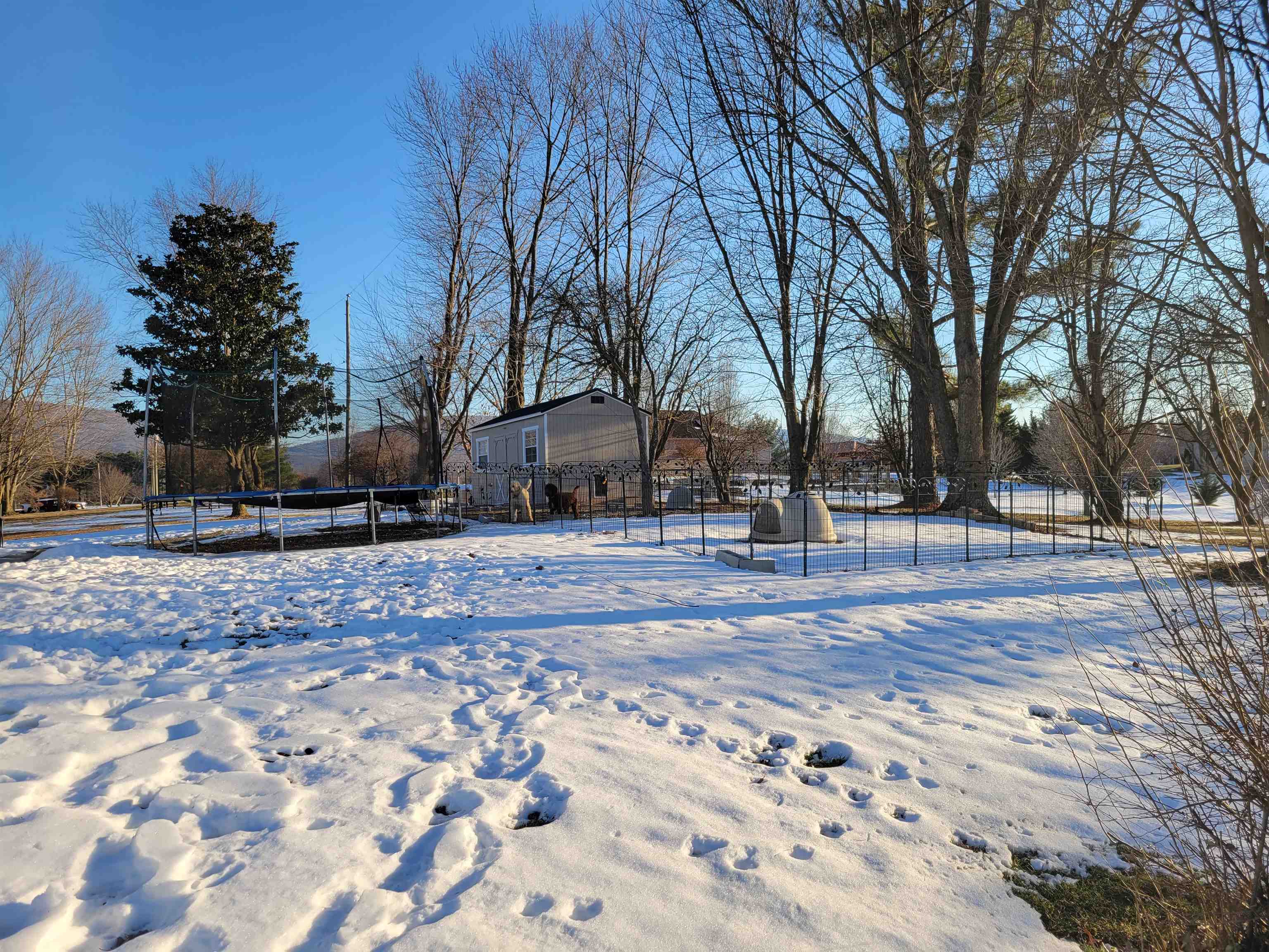 559 Highview Road New Market, VA 22844 - Photo 8 of 63 Gallery Image 8