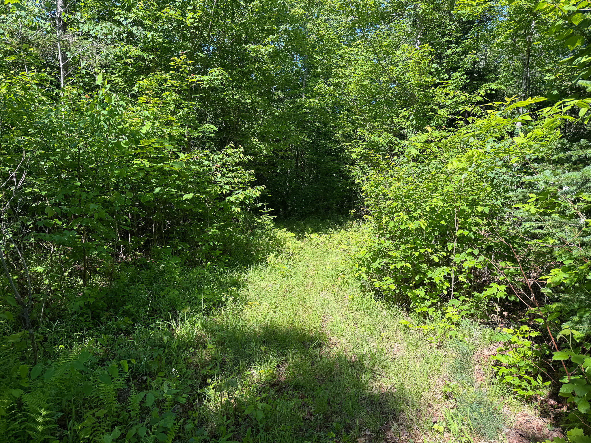 140 East Madrid Road Phillips, ME 04966 - Photo 11 of 20