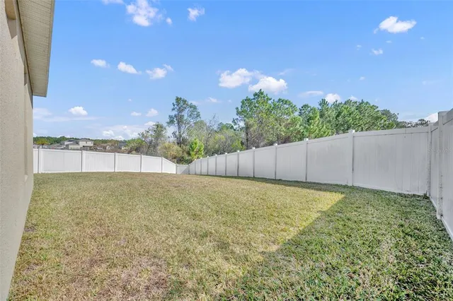 a view of backyard and trees