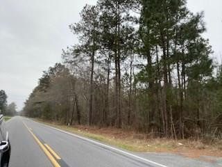 1406 George Harvin Road Manning, SC 29102 - Photo 5 of 6 Gallery Image 5