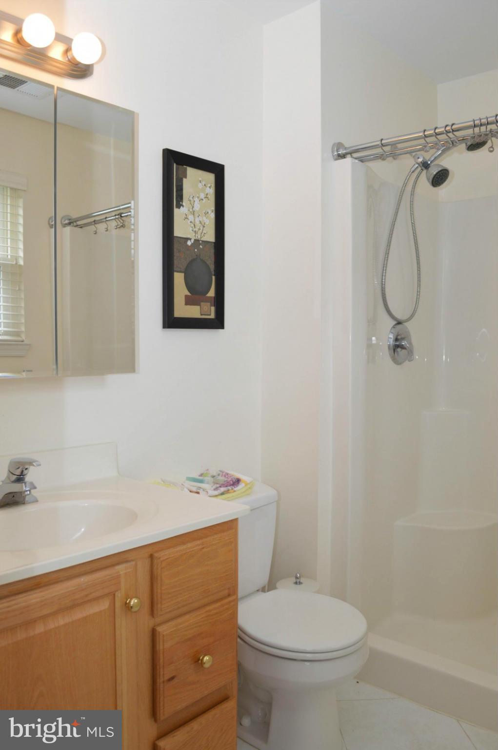 703 Merry Go Round Way Mount Airy, MD 21771 - Photo 20 of 27 a bathroom with a sink a toilet and shower