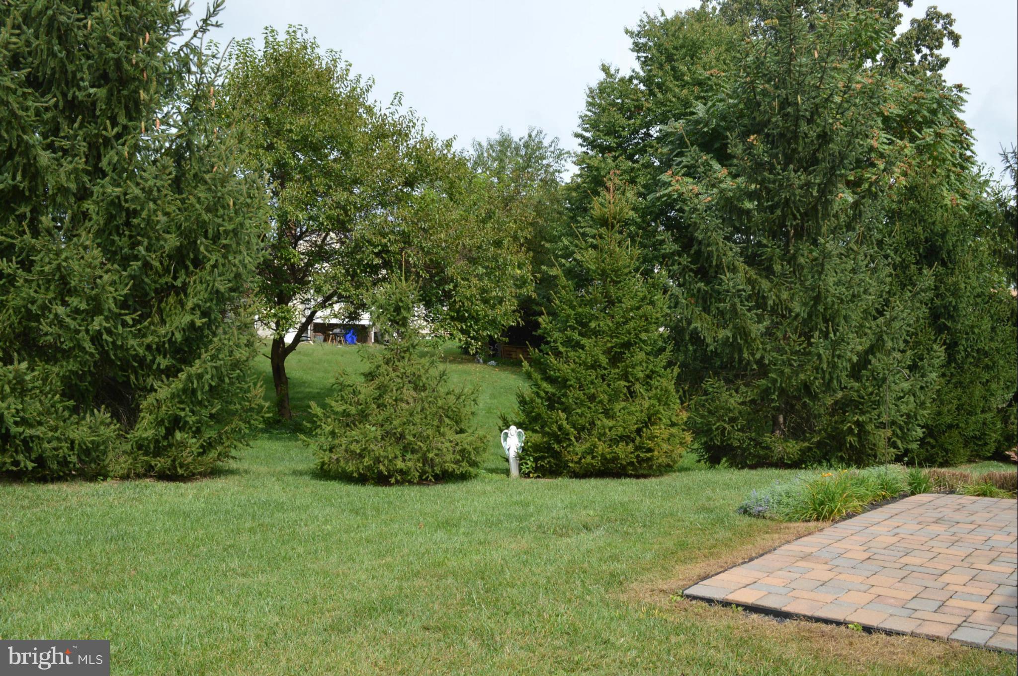 703 Merry Go Round Way Mount Airy, MD 21771 - Photo 23 of 27 a view of a backyard