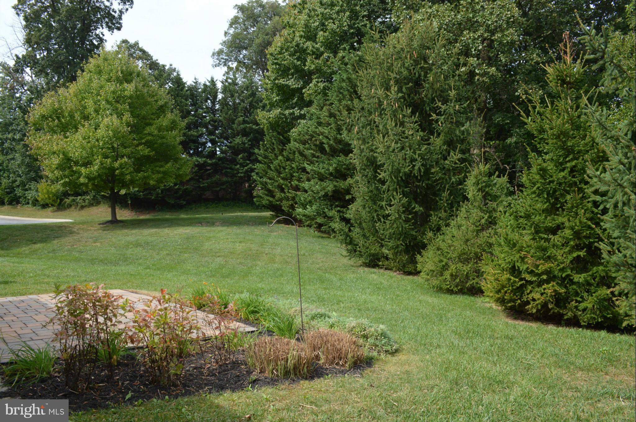 703 Merry Go Round Way Mount Airy, MD 21771 - Photo 25 of 27 a view of a trees in a yard