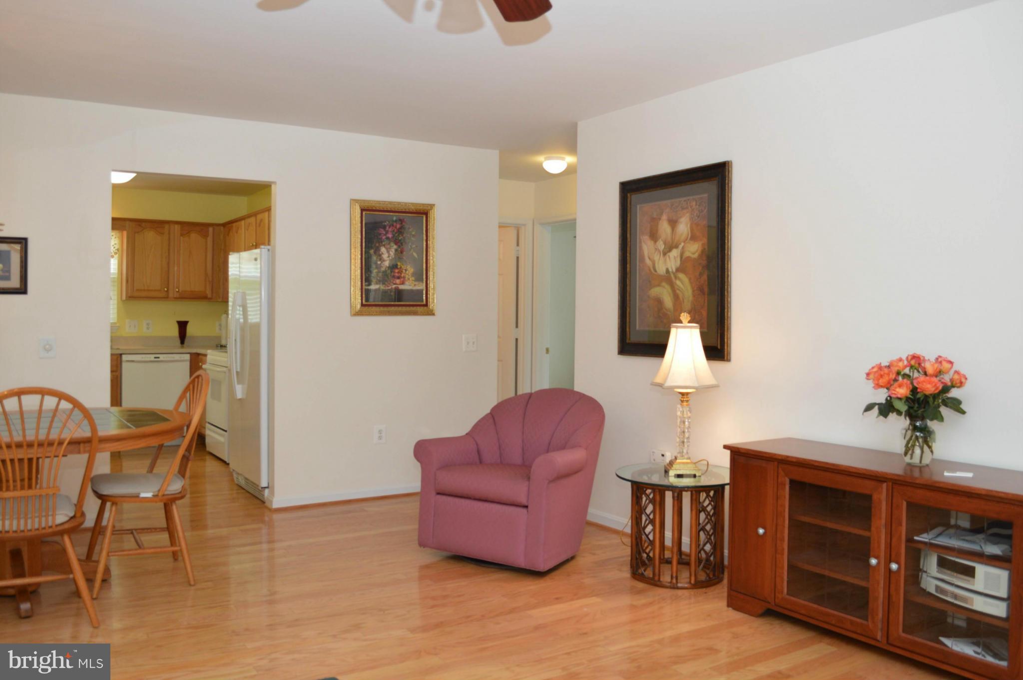 703 Merry Go Round Way Mount Airy, MD 21771 - Photo 6 of 27 a living room with furniture