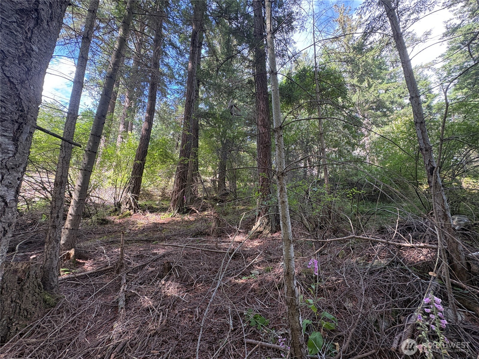 14 Rosario Road Orcas Island, WA 98245 - Photo 34 of 39