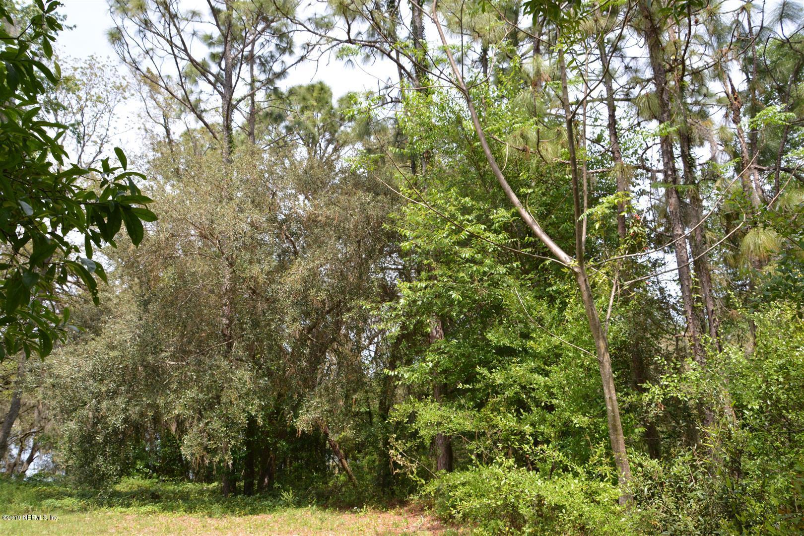 6924 Deer Springs Road Keystone Heights, FL 32656 - Photo 2 of 8 a view of a yard