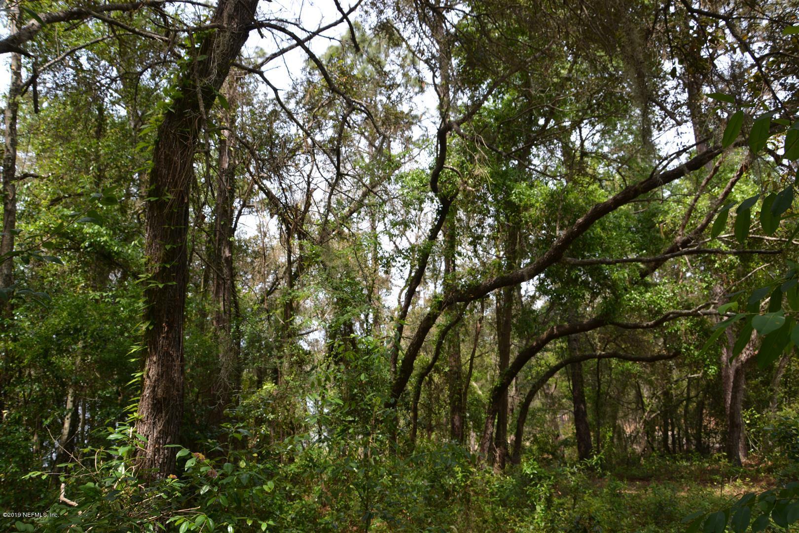 6924 Deer Springs Road Keystone Heights, FL 32656 - Photo 3 of 8 a view of tree