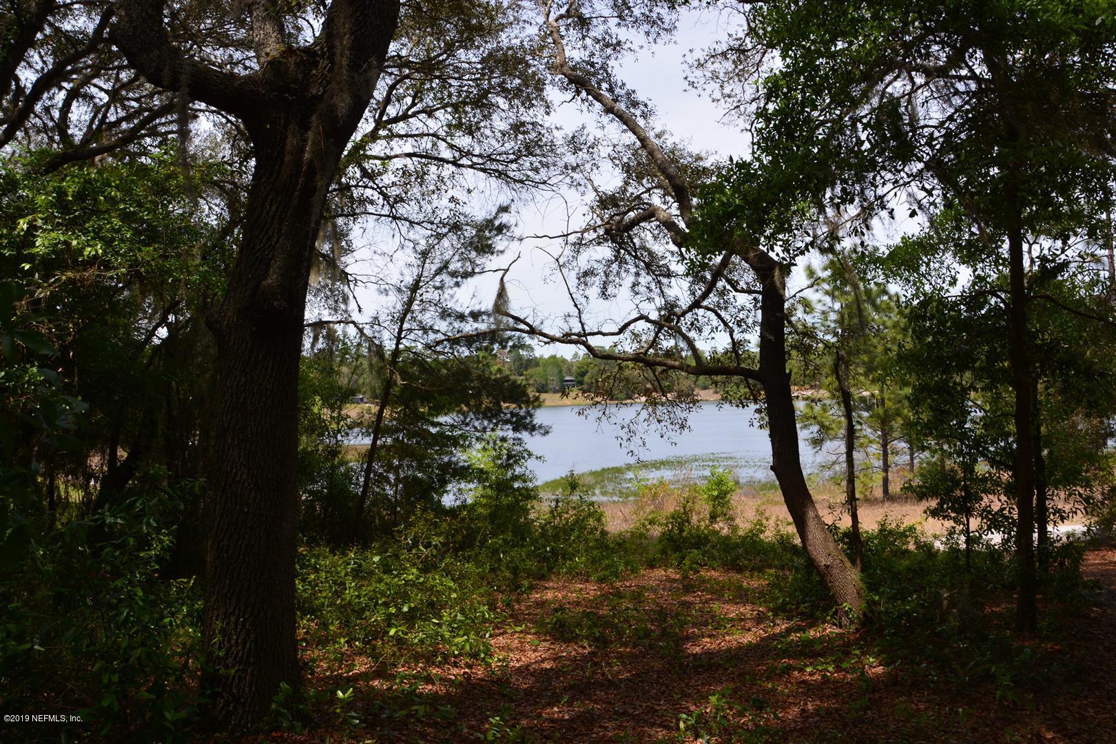 6924 Deer Springs Road Keystone Heights, FL 32656 - Photo 5 of 8 a view of a tree in a yard