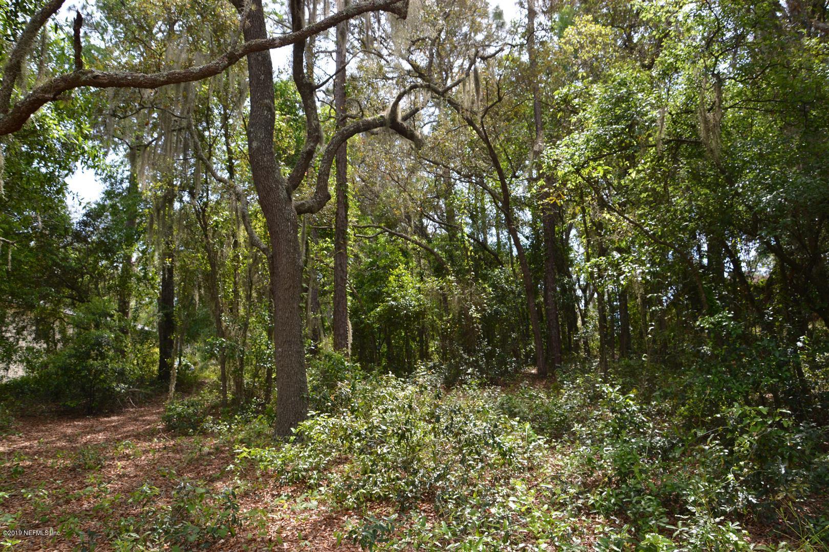 6924 Deer Springs Road Keystone Heights, FL 32656 - Photo 7 of 8 a view of forest