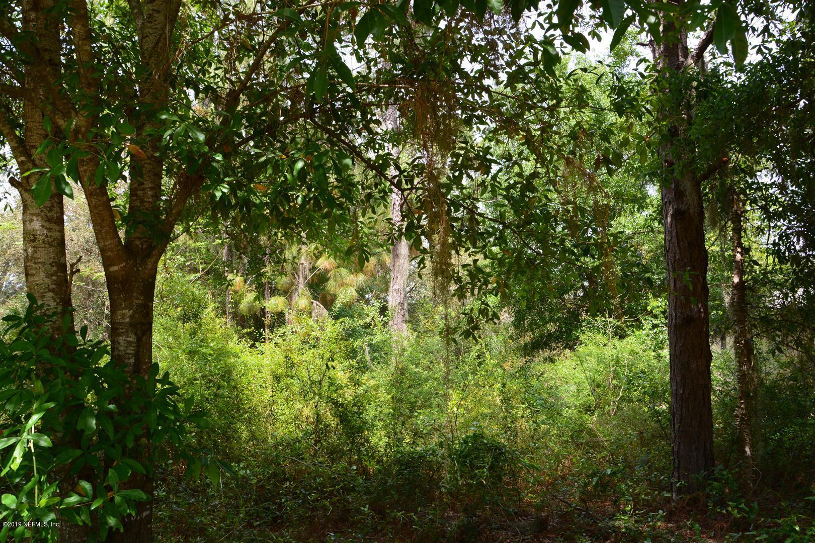 6924 Deer Springs Road Keystone Heights, FL 32656 - Photo 8 of 8 a view of a lush green forest