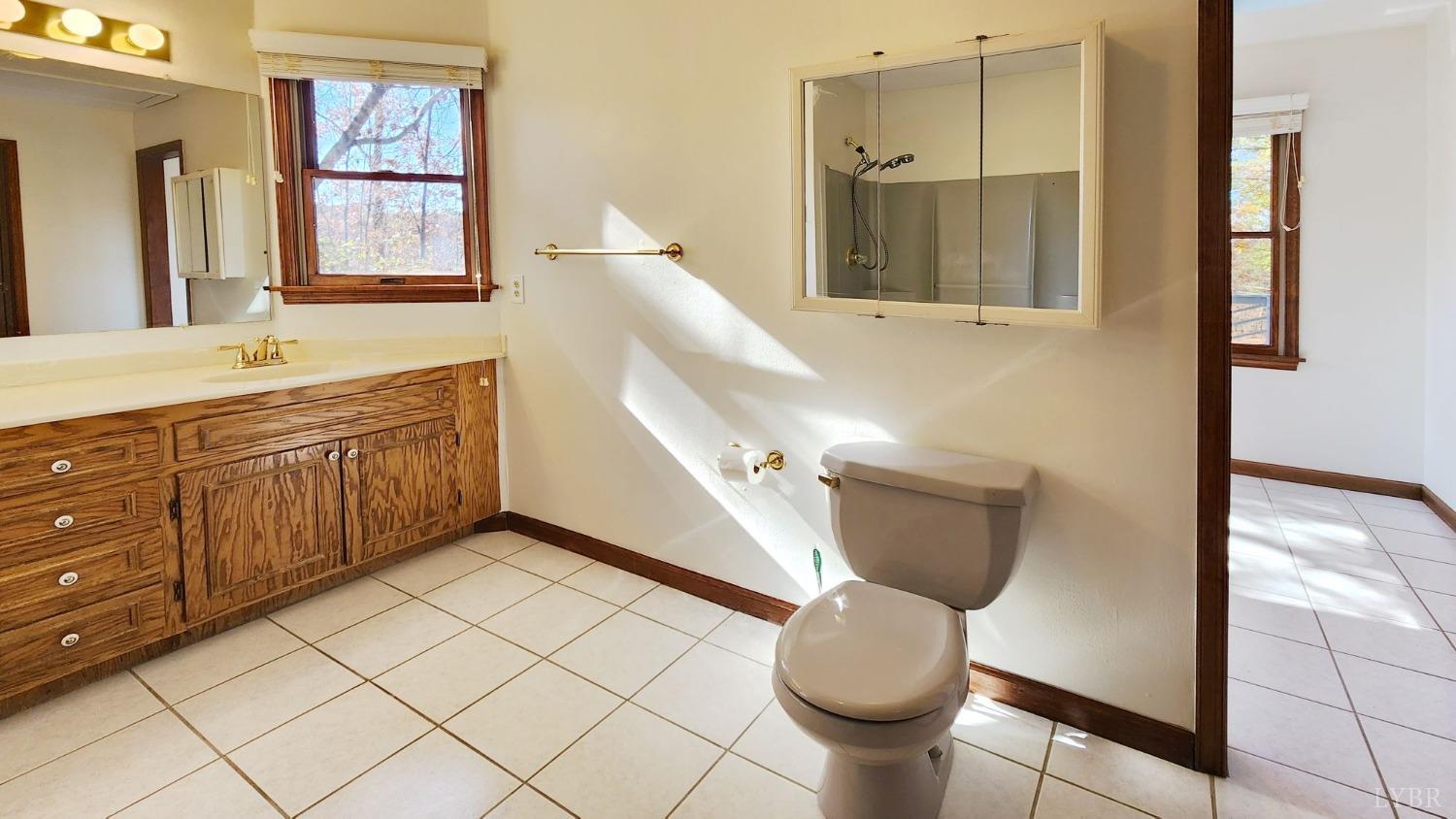 2920 Buffalo Mill Road Evington, VA 24550 - Photo 29 of 57 Gallery Image 29