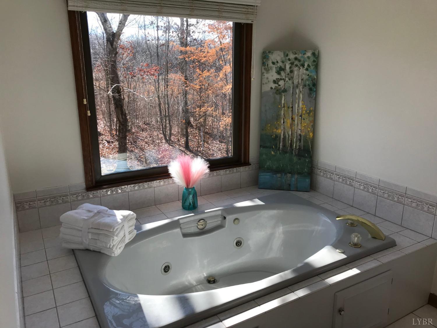 2920 Buffalo Mill Road Evington, VA 24550 - Photo 31 of 57 Gallery Image 31
