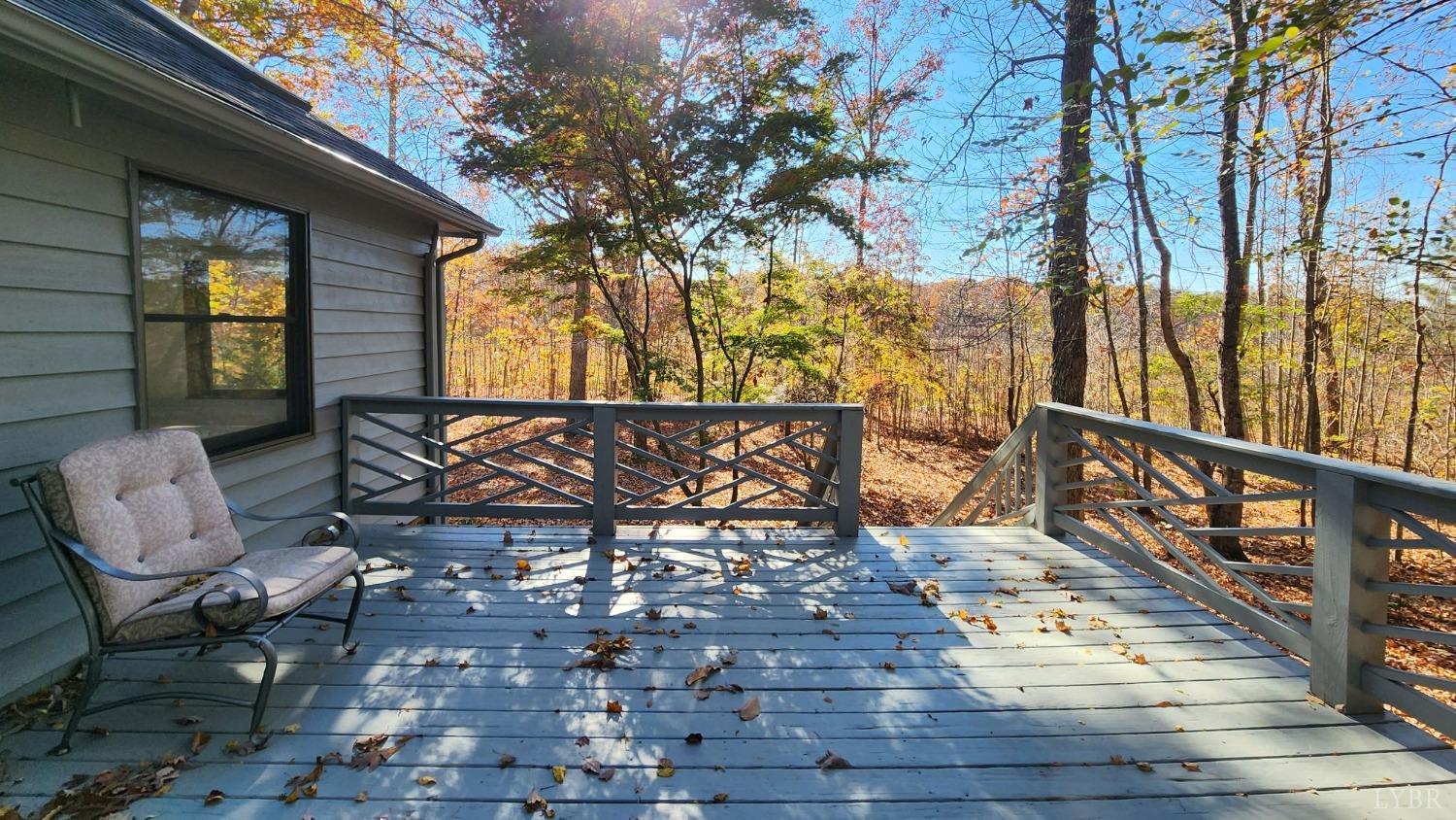 2920 Buffalo Mill Road Evington, VA 24550 - Photo 50 of 57 Gallery Image 50