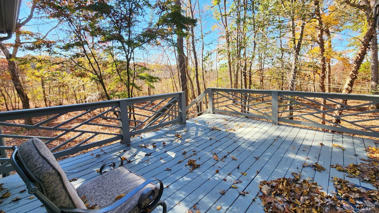 2920 Buffalo Mill Road Evington, VA 24550 - Photo 51 of 57 Gallery Image 51