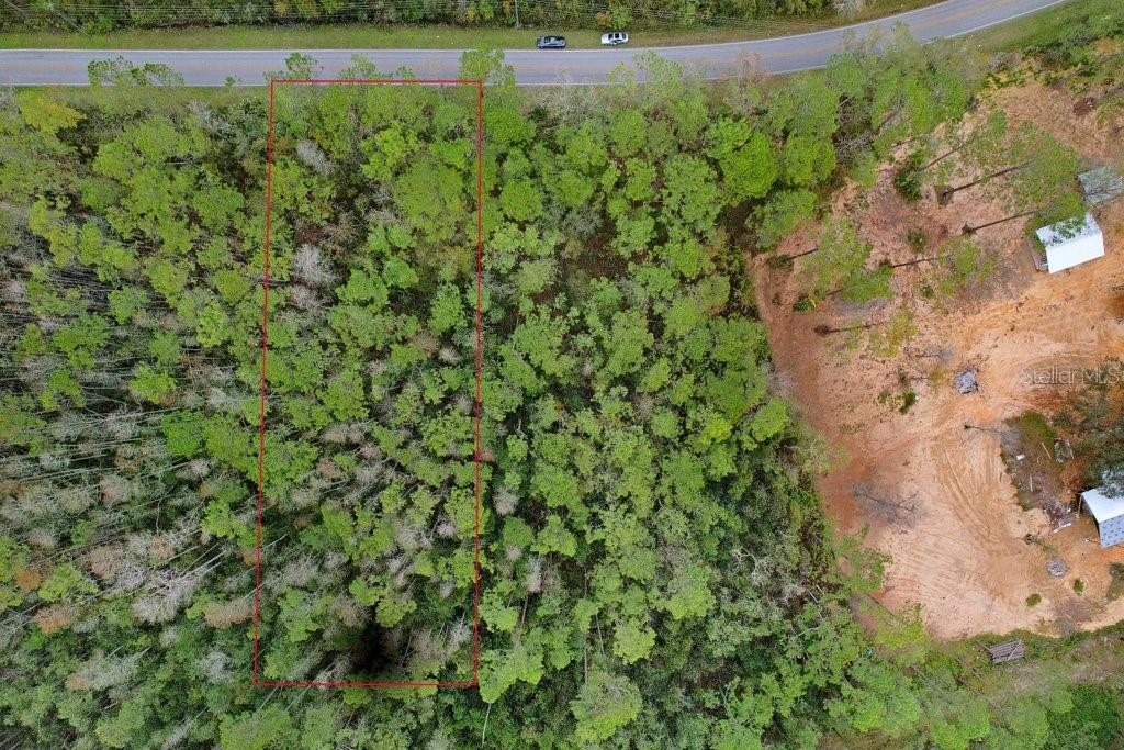 Poyner Road Polk City, FL 33868 - Photo 3 of 10 a view of a yard with a tree