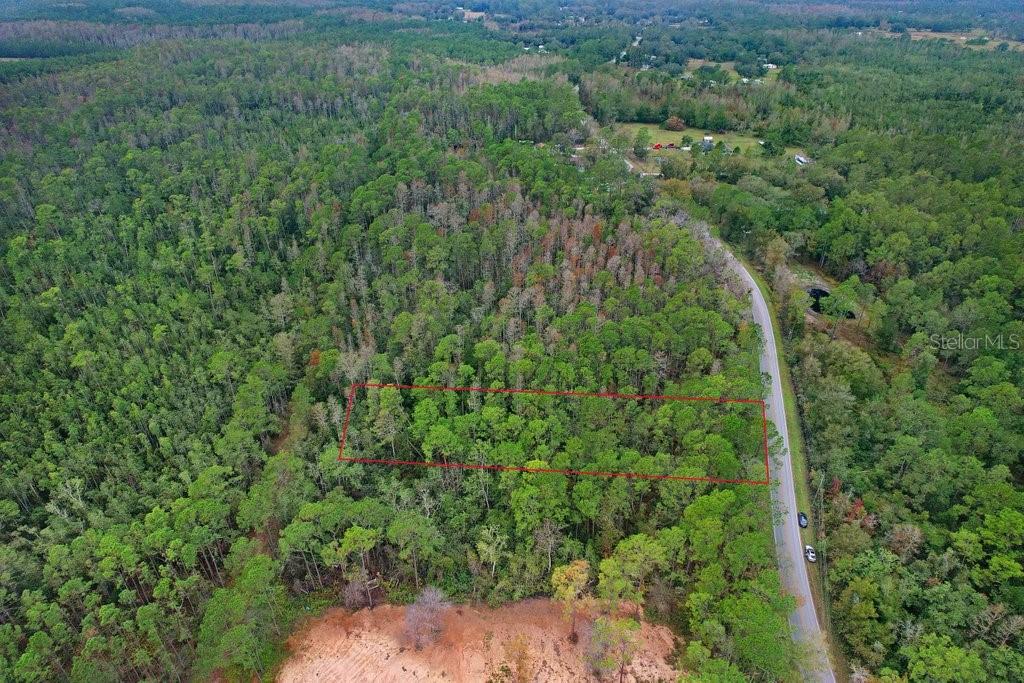 Poyner Road Polk City, FL 33868 - Photo 6 of 10 a view of a forest with a street
