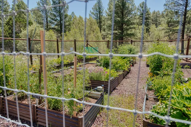 a garden with trees in the background
