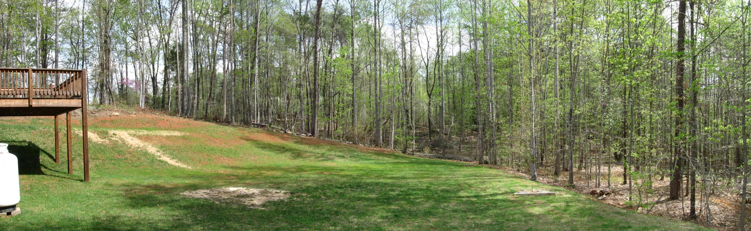 87 Ellsworth Court Ridgeway, VA 24148 - Photo 2 of 12 back yard view
