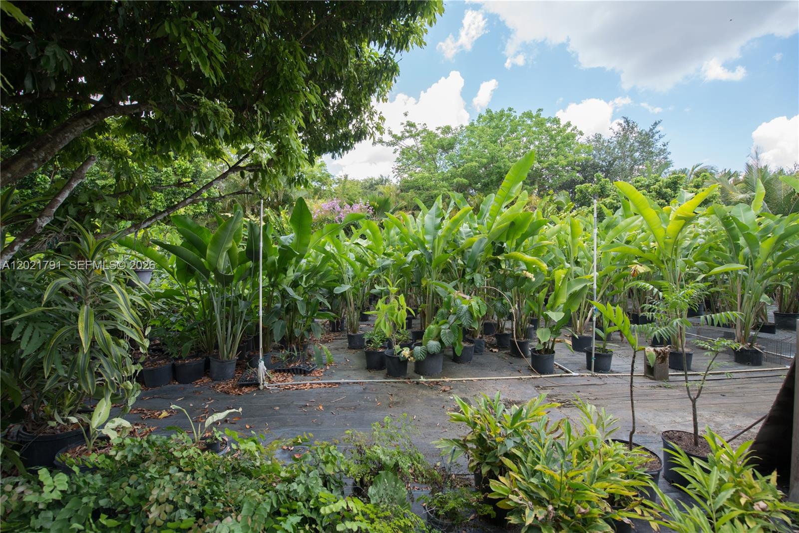 16970 Southwest 264th Street Homestead, FL 33031 - Photo 46 of 58