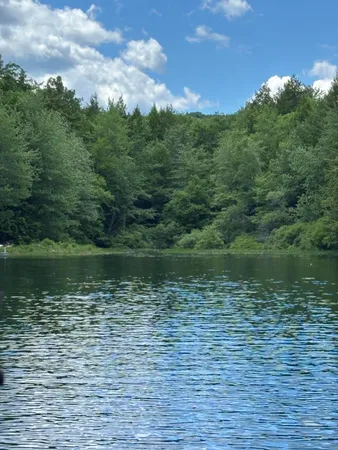 $129,900 | 0 Brown Road, Liberty, ME 04949