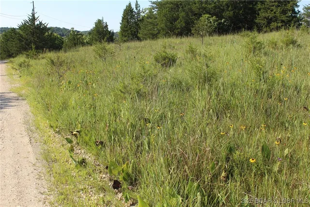 $20,000 | Niagra Drive, Rocky Mount, MO 65072