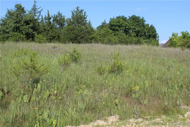 $20,000 | Niagra Drive, Rocky Mount, MO 65072