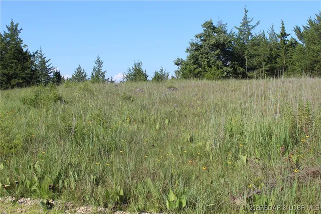 $20,000 | Niagra Drive, Rocky Mount, MO 65072