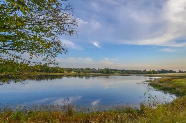 a view of a yard and mountain view